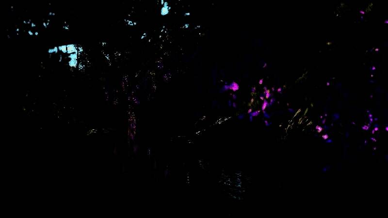 《刺客信条：影》画面或战斗相关图片