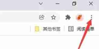 进入扩展程序管理页面操作示例图