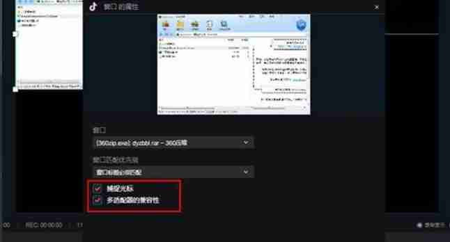 鼠标光标捕捉及多适配器兼容性设置界面