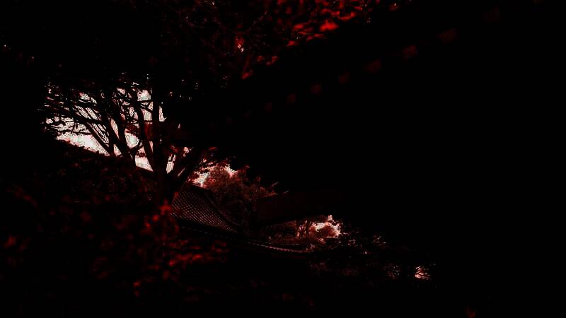 《刺客信条：影》游戏截图之美丽景色