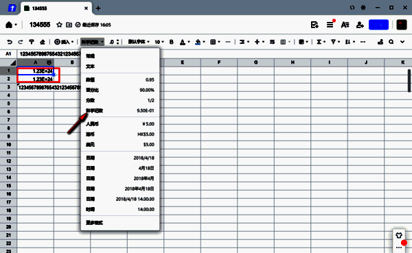 填写长数据出现乱码情况
