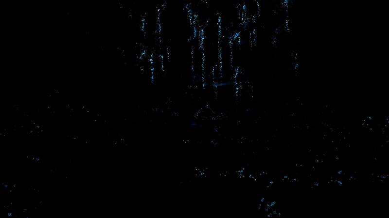 《KANADE》相关图片7