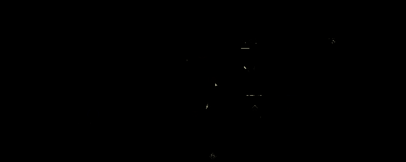 《刺客信条：影》相国寺画面