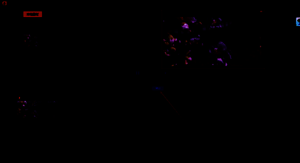 视频预览及导出按钮界面图片