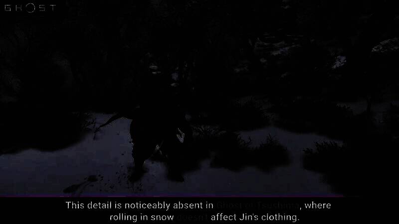 对马岛之鬼与刺客信条:影其他方面对比图3