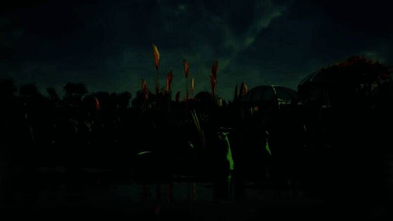 玩家应对危险画面