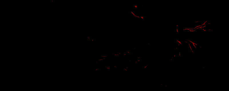 优米雅的炼金工房龙翼战士图片1