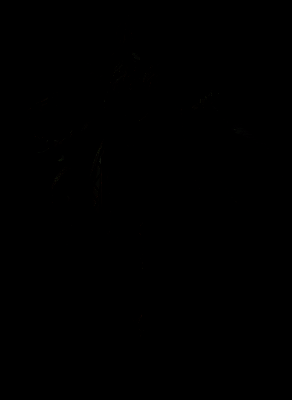 优米雅的炼金工房黑色斗篷贵人另一角度形象