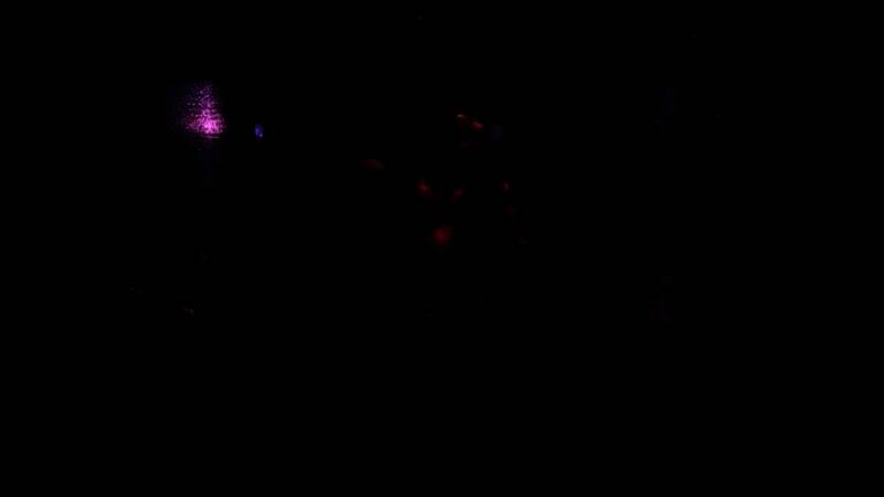 《鬼武者2：复刻版》视频截图3