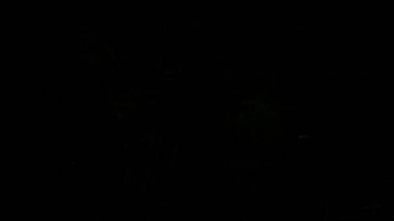 《明末:渊虚之羽》女主靓丽背影截图