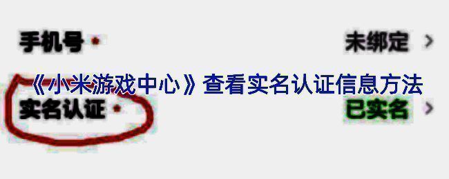 游戏中心实名认证相关页面示例