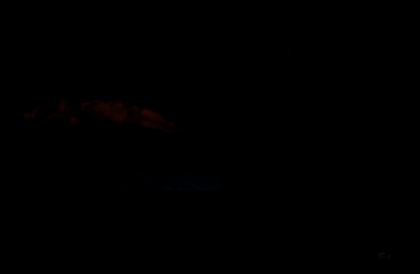 导出视频的界面图