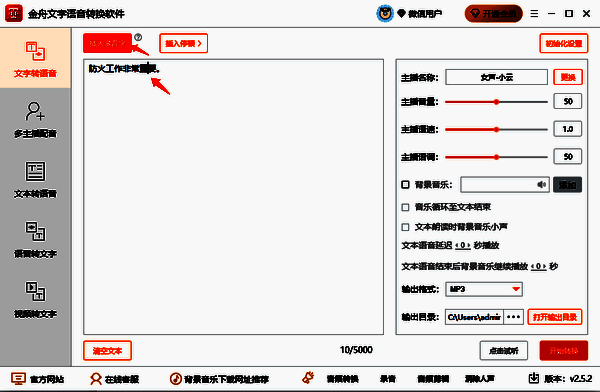 金舟文字语音转换软件插入多音字操作界面