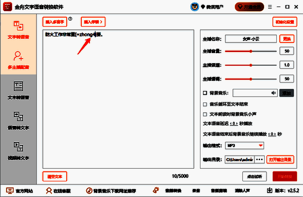 金舟文字语音转换软件插入正确读音界面