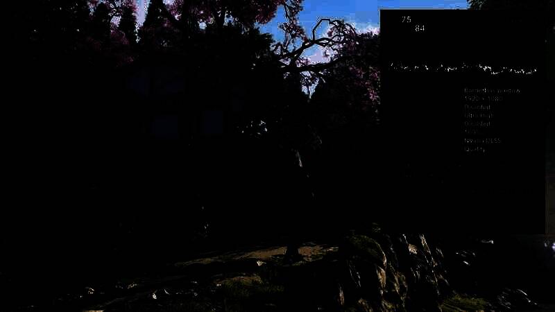 1080P 下《刺客信条：影》基准截图