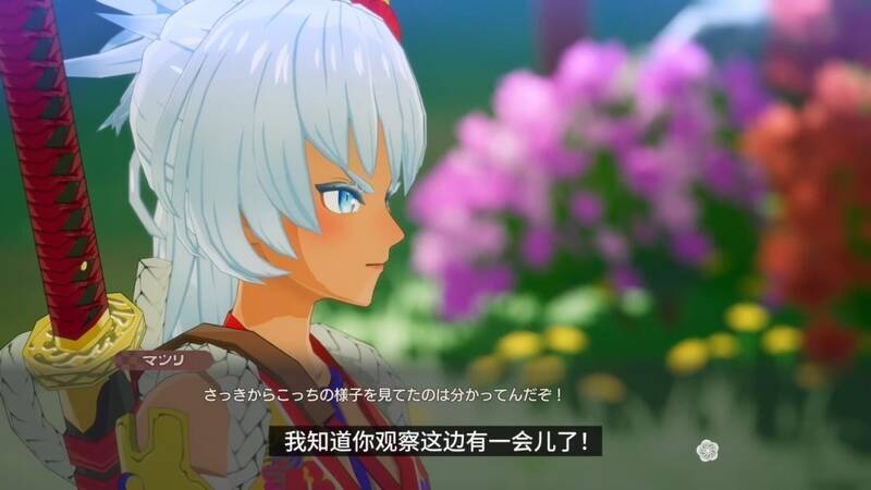 《符文工房：龙之天地》角色祭视频截图2