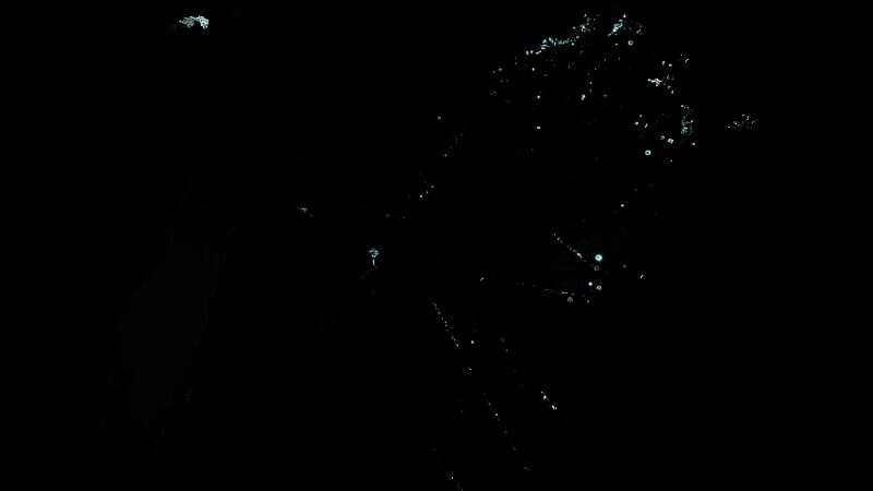 《另一个梦境》相关图片6