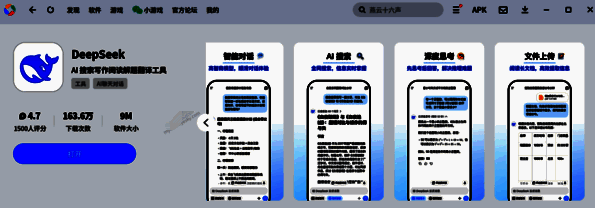 DeepSeek软件另一相关图片