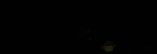 狂暴牧师·夏特相关图片