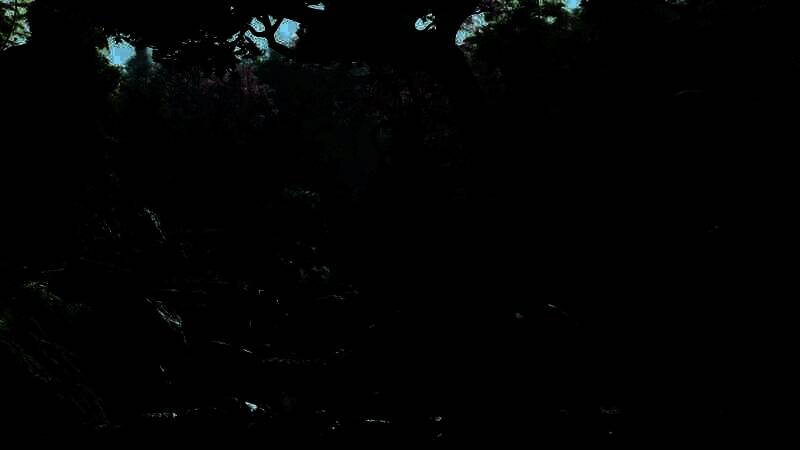 《刺客信条：影》游戏画面3