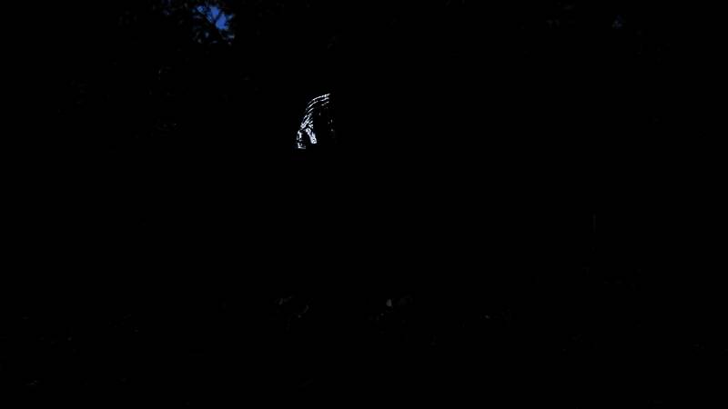 《刺客信条：影》游戏画面8