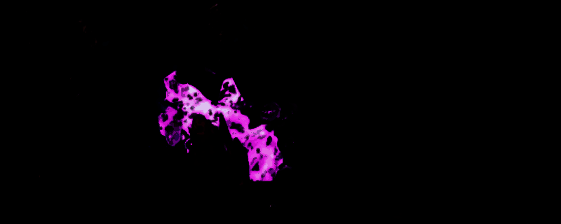 双影奇境屠龙者战斗场景