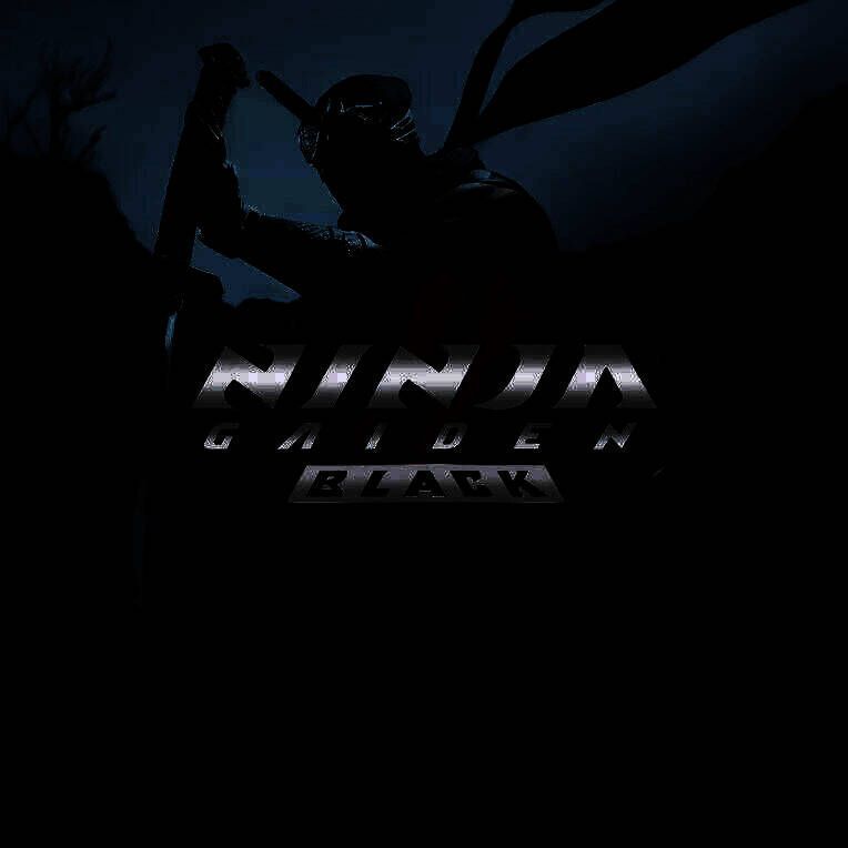 NINJA GAIDEN 2 Black游戏图片