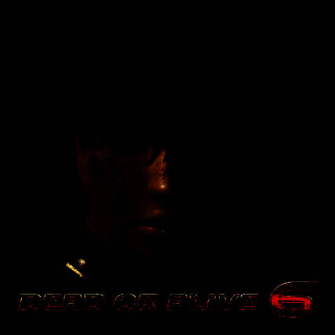 DEAD OR ALIVE 6游戏图片