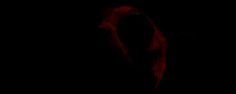 《宣誓》游戏相关画面1