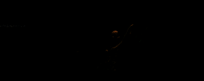 宣誓相关游戏截图1