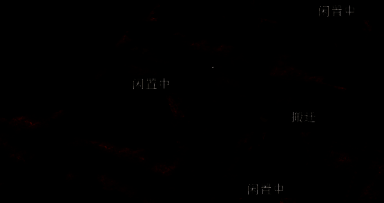 友方成员府邸迁移相关画面