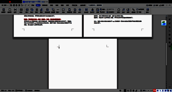 WPS 文档空白页示例图