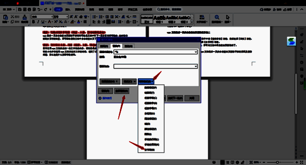 WPS 特殊格式中选择分页符图
