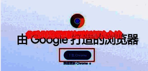 谷歌浏览器无法更新相关配图