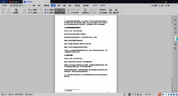 WPS文档界面示例图