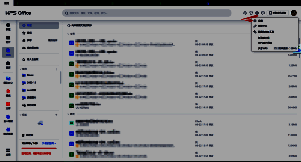 WPS 首页右上角小齿轮按钮