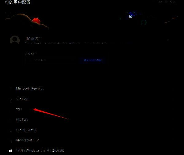 浏览器用户配置中的密码一栏展示图