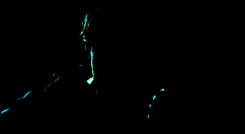 相关游戏宣传图片1