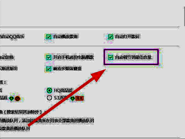 设置窗口中自动调节到最佳音量选项的页面图片