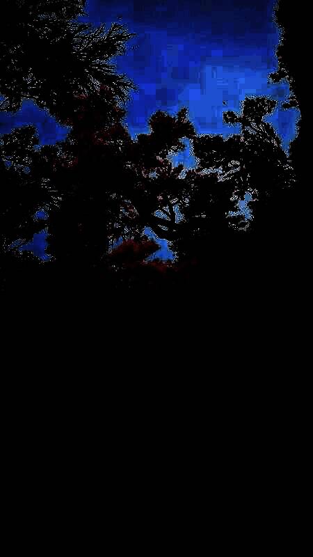 《刺客信条：影》手机壁纸8