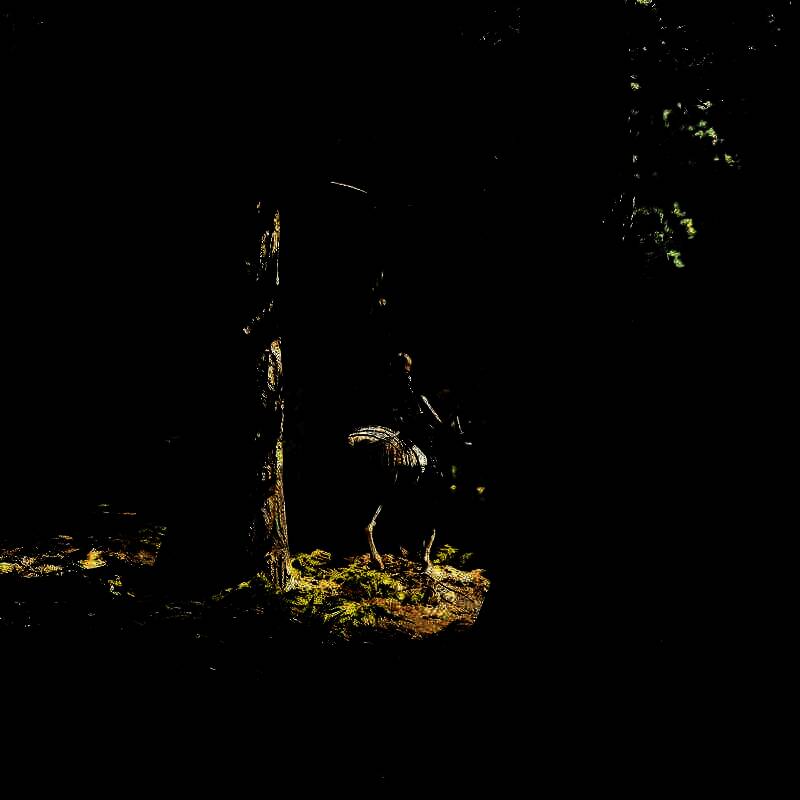 《刺客信条：影》手机壁纸11