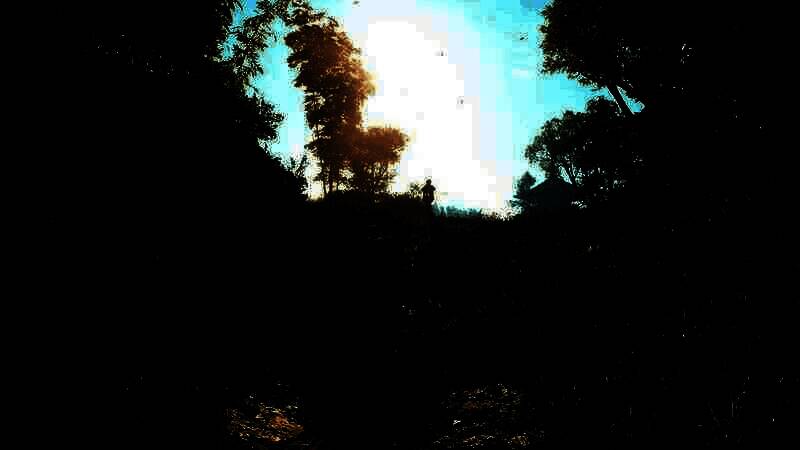 《刺客信条：影》电脑壁纸8