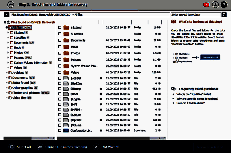 Raise Data Recovery软件勾选文件恢复确认界面