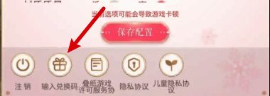 输入兑换码功能界面图