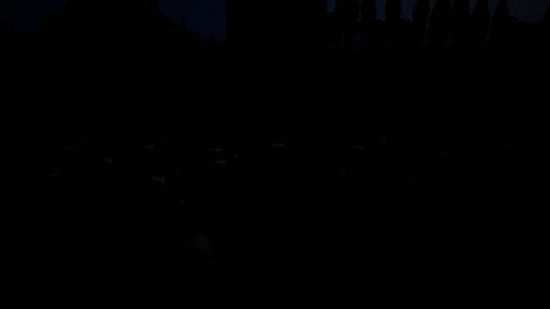 《环法自行车赛2025》游戏特点展示图6