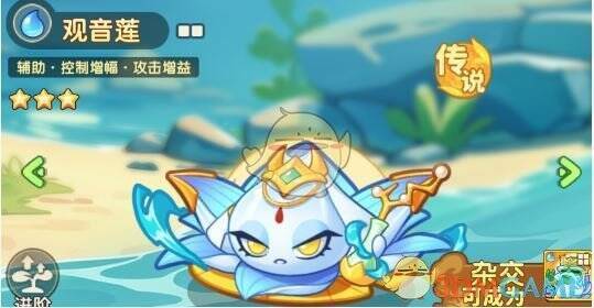 波塞冬瓜和观音莲相关画面