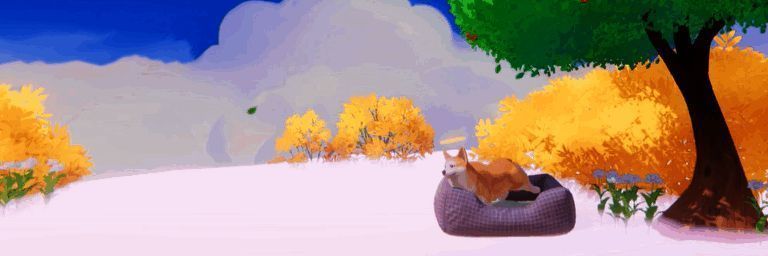 《我的小柯基》游戏动态画面1