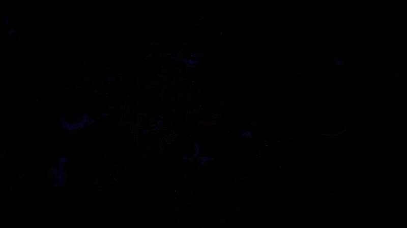 《Stormbinders》游戏截图5