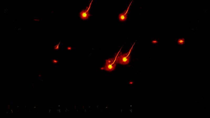 《Stormbinders》游戏截图6