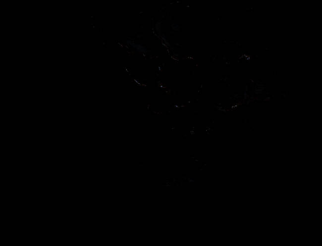 《最后的生还者3》相关图片2